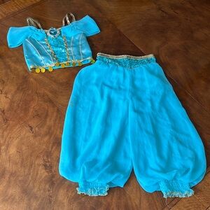 Disney Jasmine Princess Halloween Costume - from the Aladdin movie